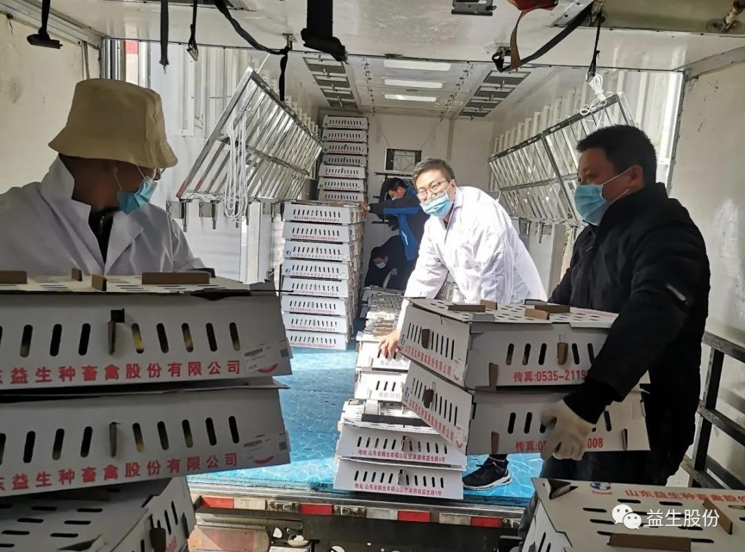 【关注】“疫”见真情，为Hjc gcgc08团队点赞