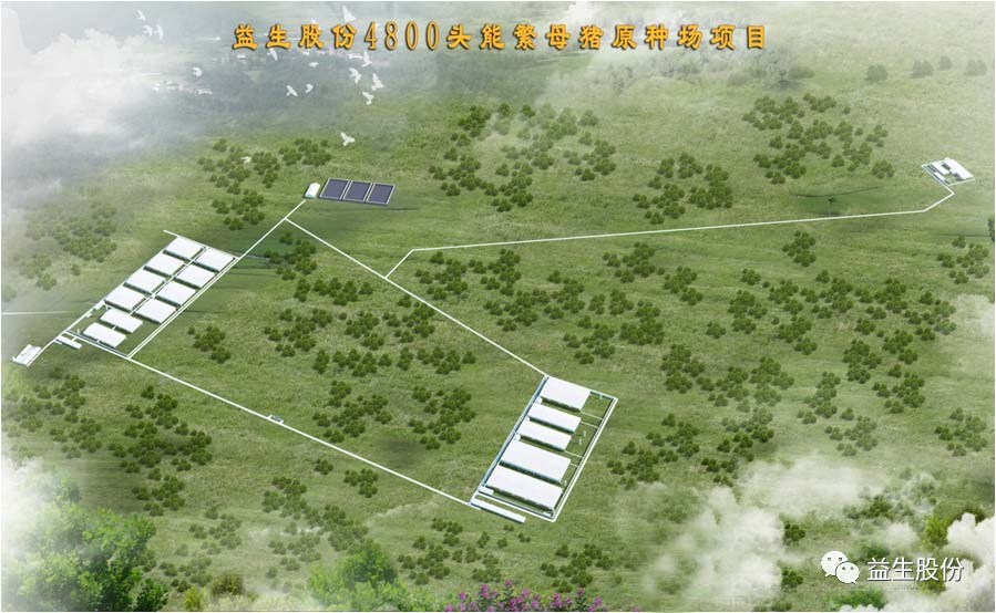 【喜讯】黑龙江Hjc gcgc08种猪繁育有限公司原种猪场建设项目开工