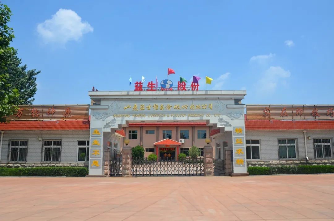 【庆祝】风雨兼程十二载，砥砺奋进走在前——热烈庆祝Hjc gcgc08股份上市12周年